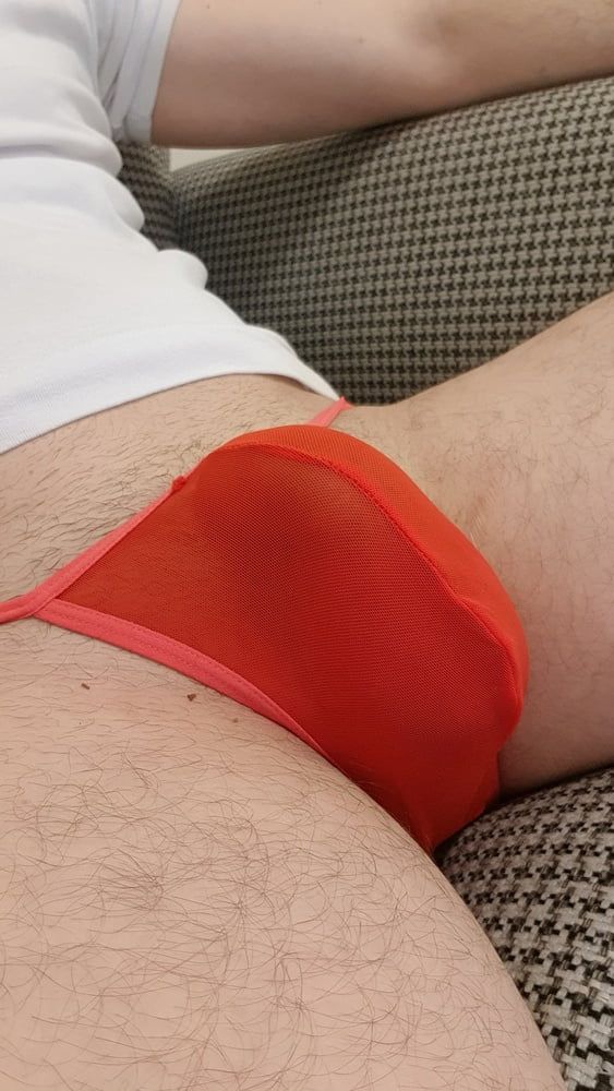 Red sheer mesh panties bulge