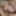 Busty anal gape queen stepsister gets anal creampie #51