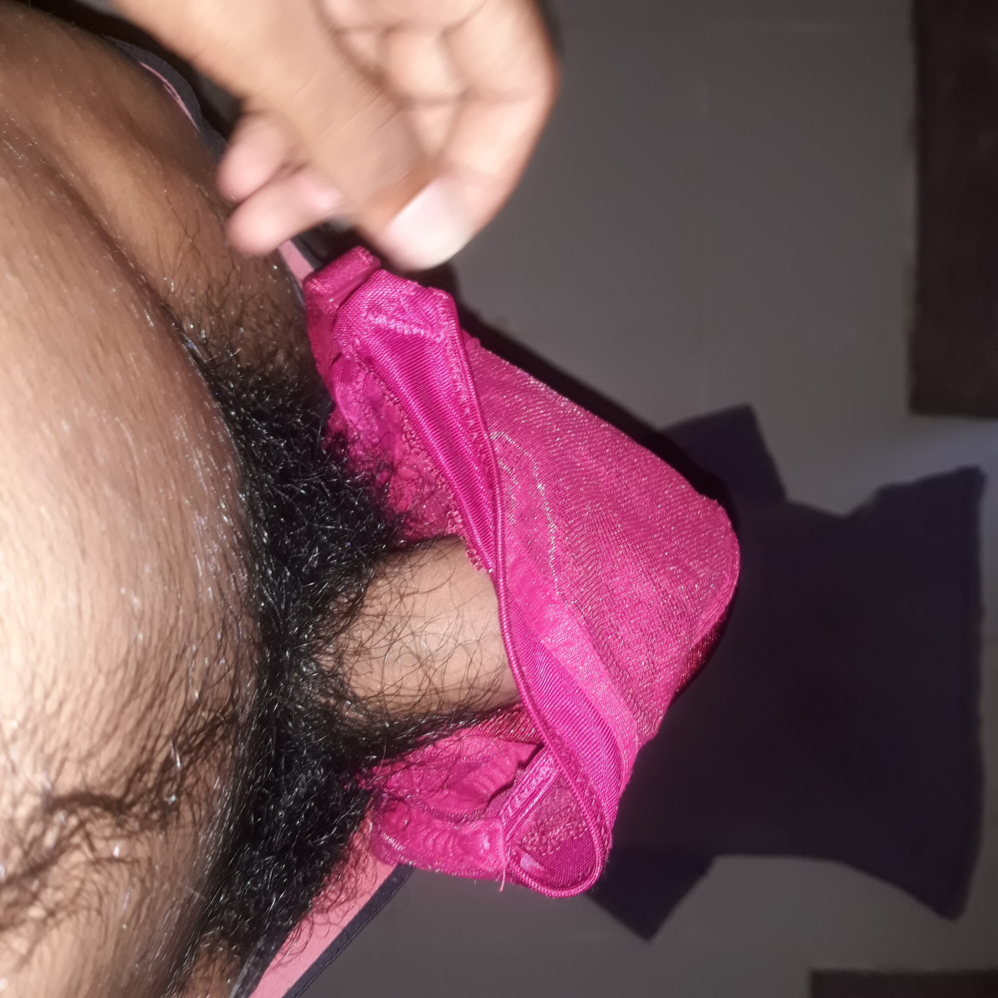 nova coleção de fotos de sutiã