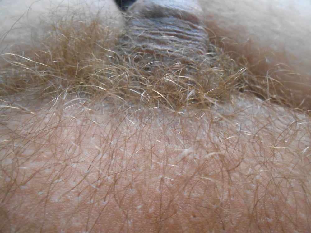 my tiny hairy dick before shaving #5