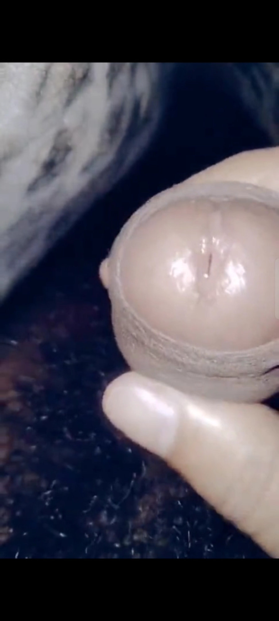 Big rough raw cock #16