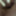 My cock (July-August 2025) #39