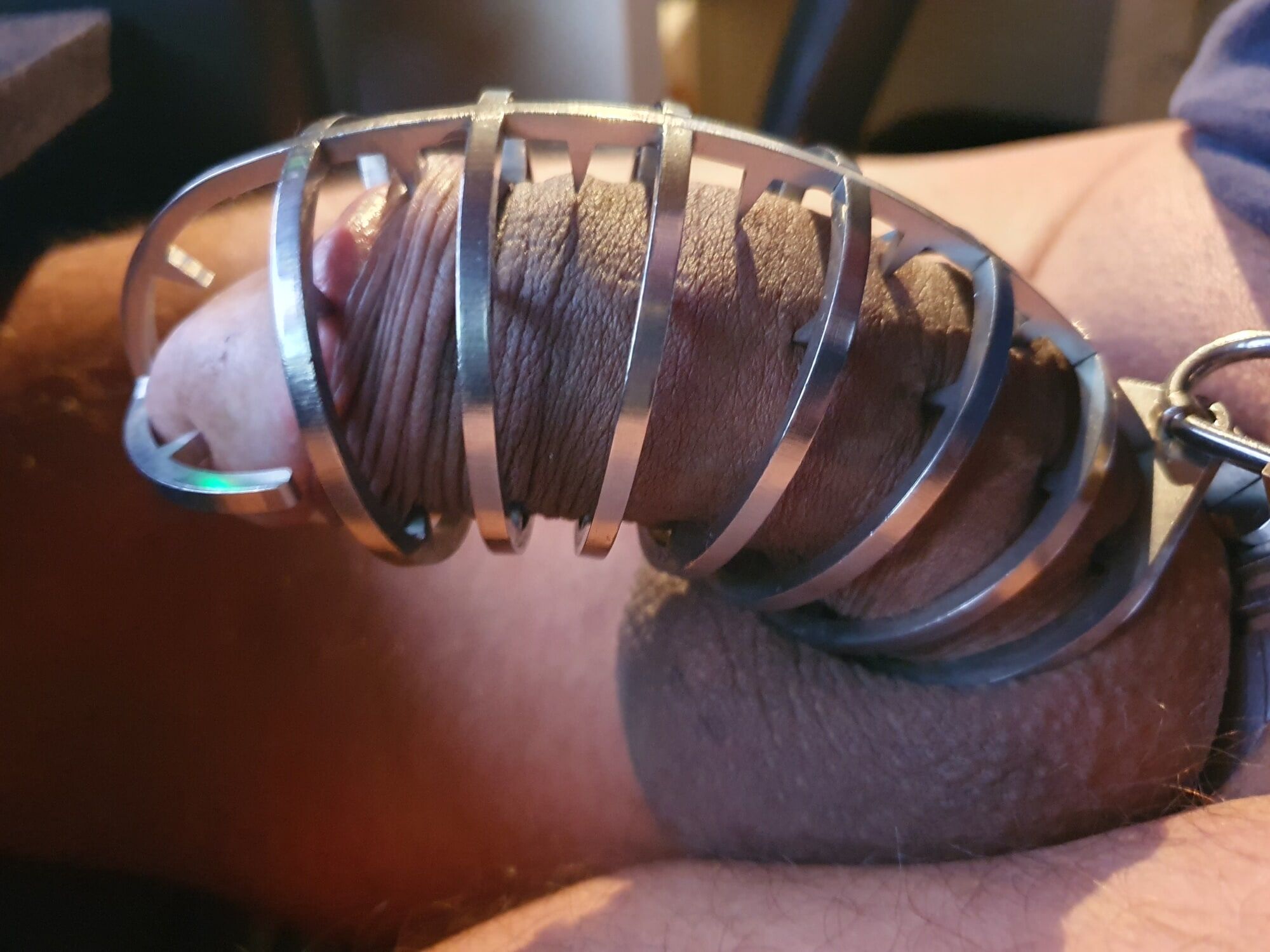 Chastity Cages #4