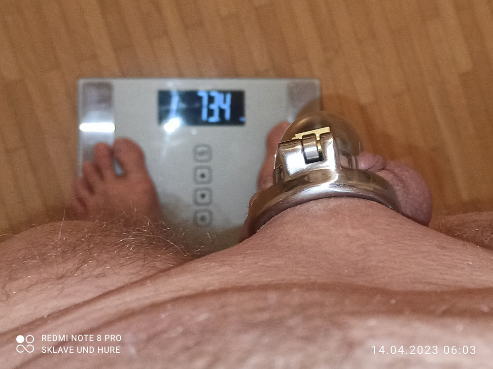 Displayed weighing and cagecheck of 14.04.23 #6