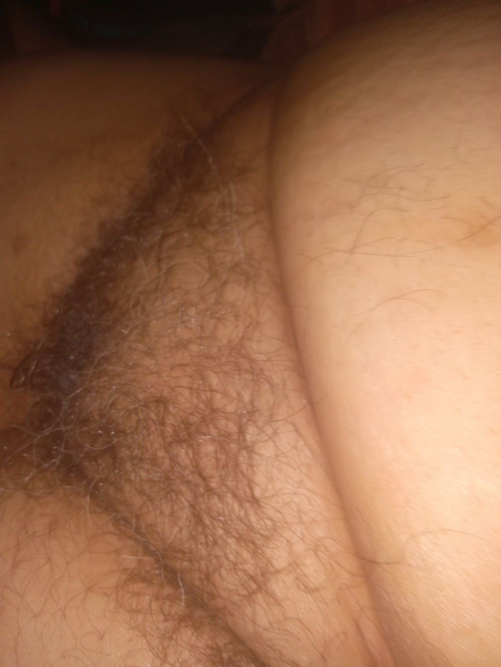 Solo.pelos hairy pussy #22