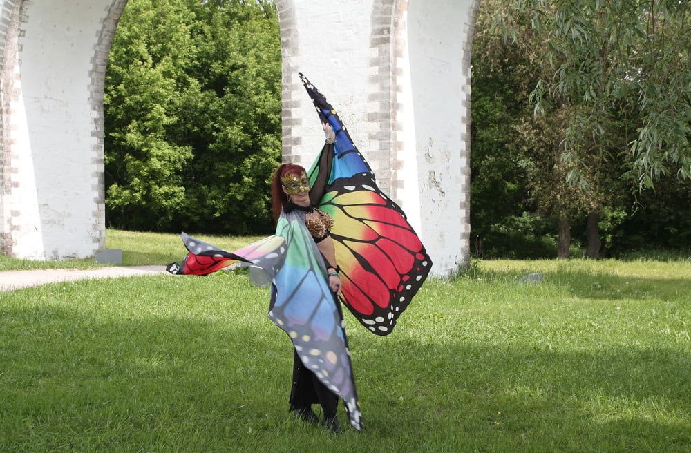 Wings of Butterfly #22