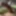 16 cm cock is looking for a woman 