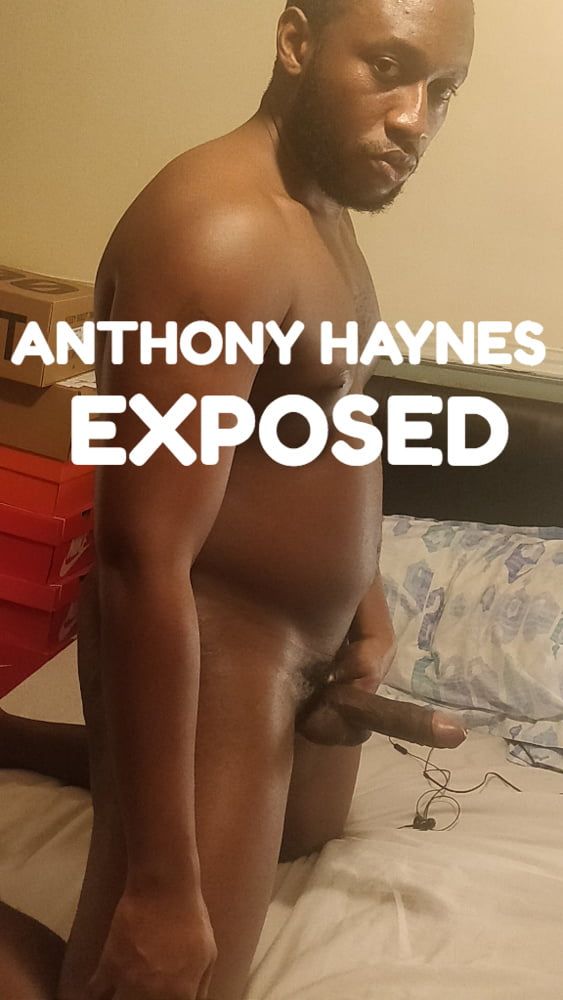 Anthony Haynes #2