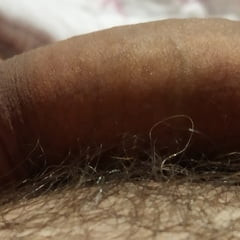 Another picture for you 2