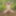 Fag Christoph Straubinger naked in the forest #5