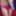 SHEMALE erotic non nude pictures #36