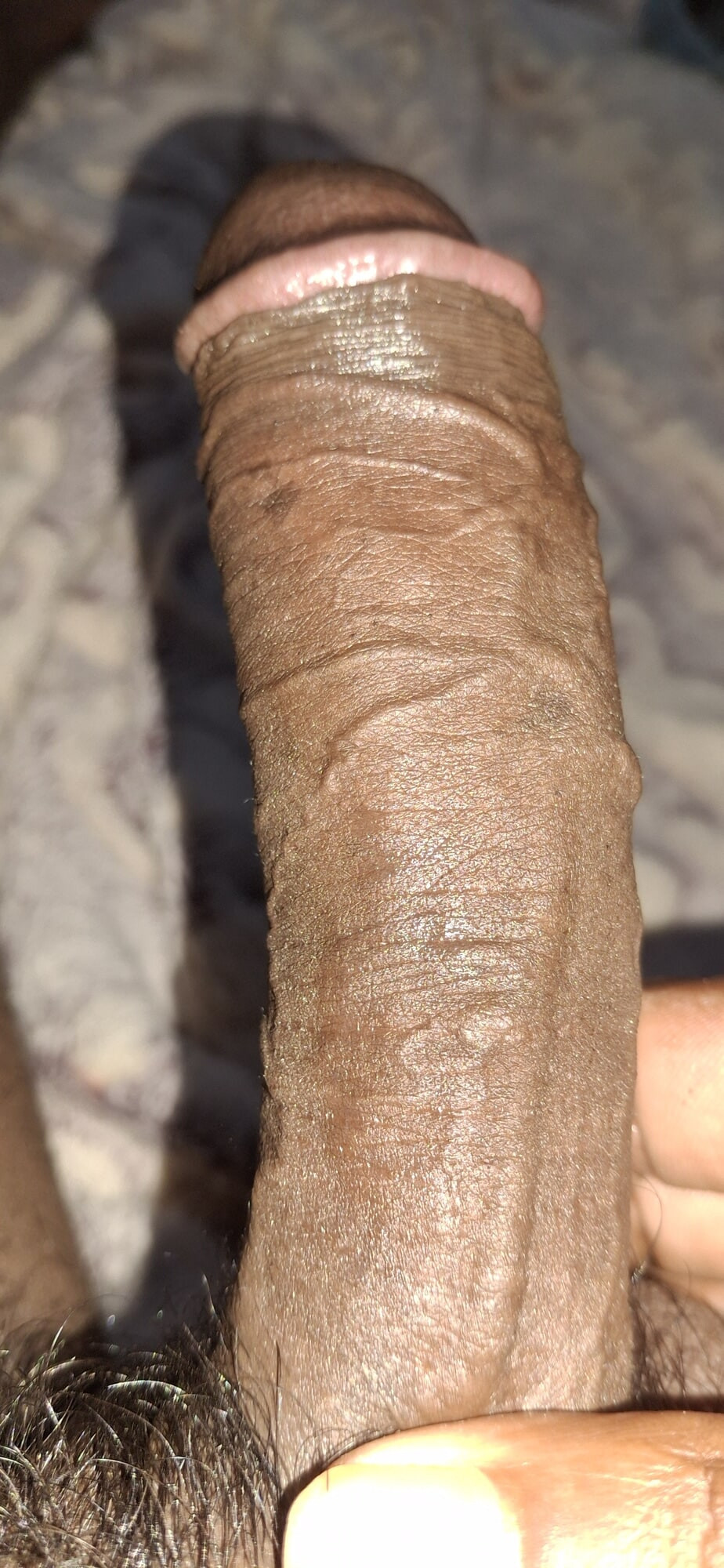 My Dick today collection  #11