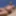 Beach Nude