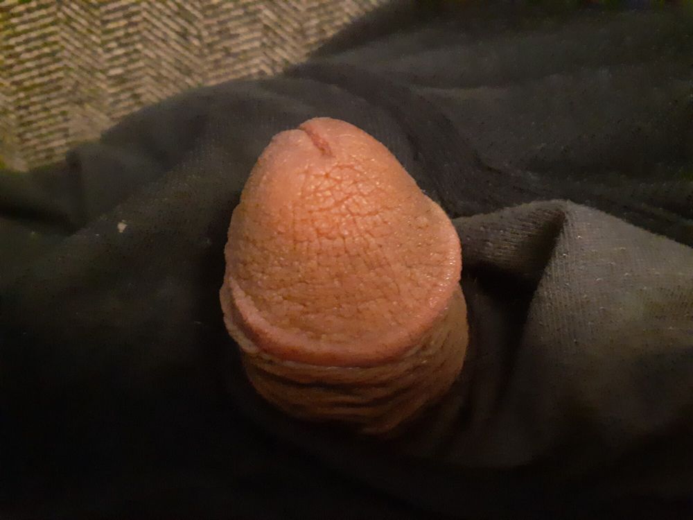 Small cock 