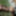 Teen Girl Strap-on pegging Teen Guy outdoors, femdom, BDSM #20