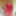 20140731 red cincher #19
