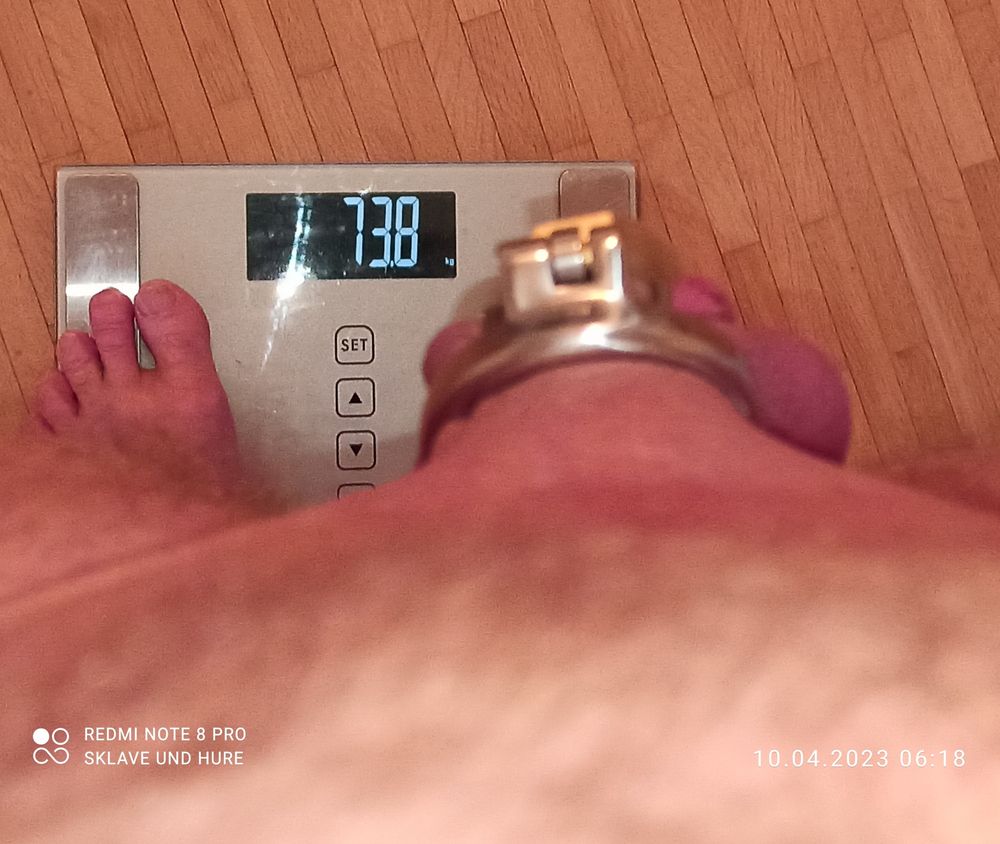 Masturbation, mandatory weighing and cagecheck of 10.04.2023 #9