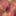 August 2025 Updates