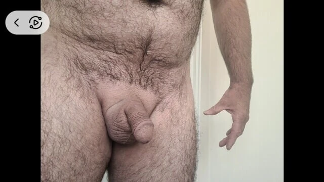Body 