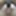 Large Pussy Lips Anal Nympho DP