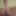 My Dick
