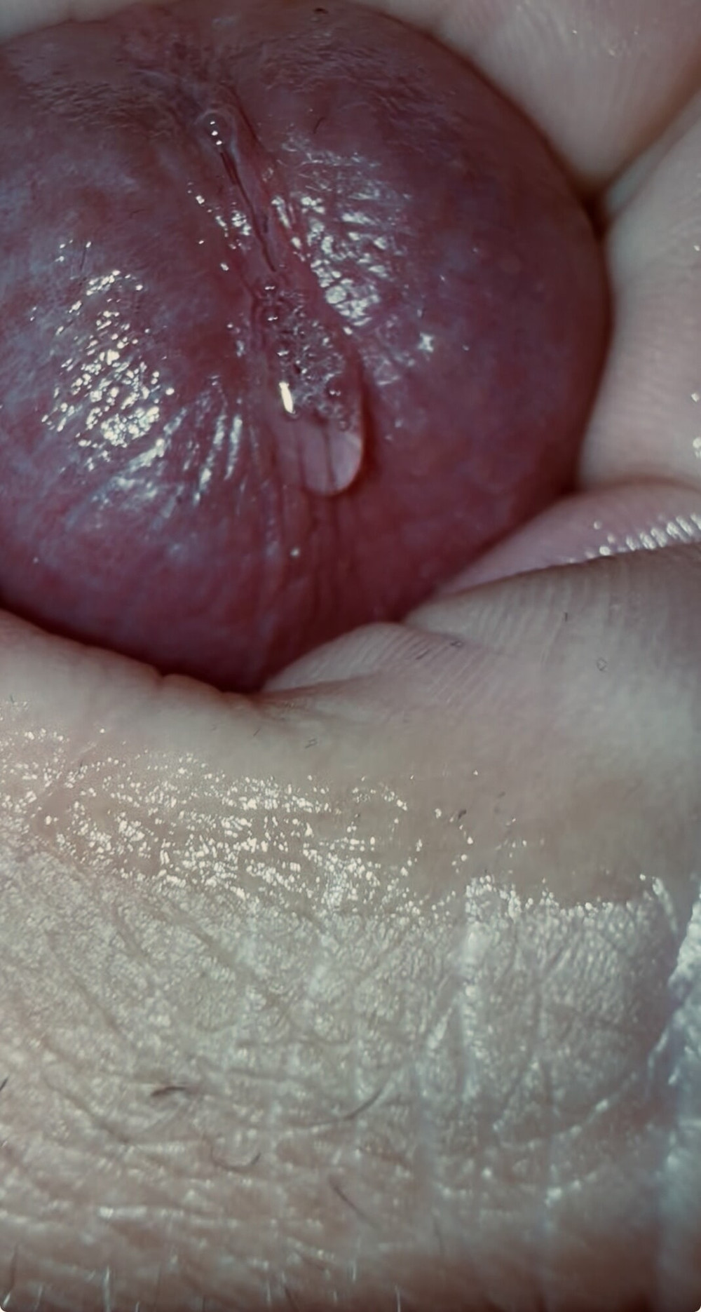 Precum Session 2.0 #5