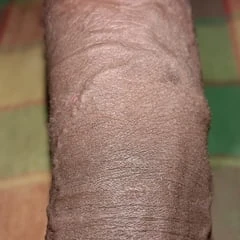 Big cock 