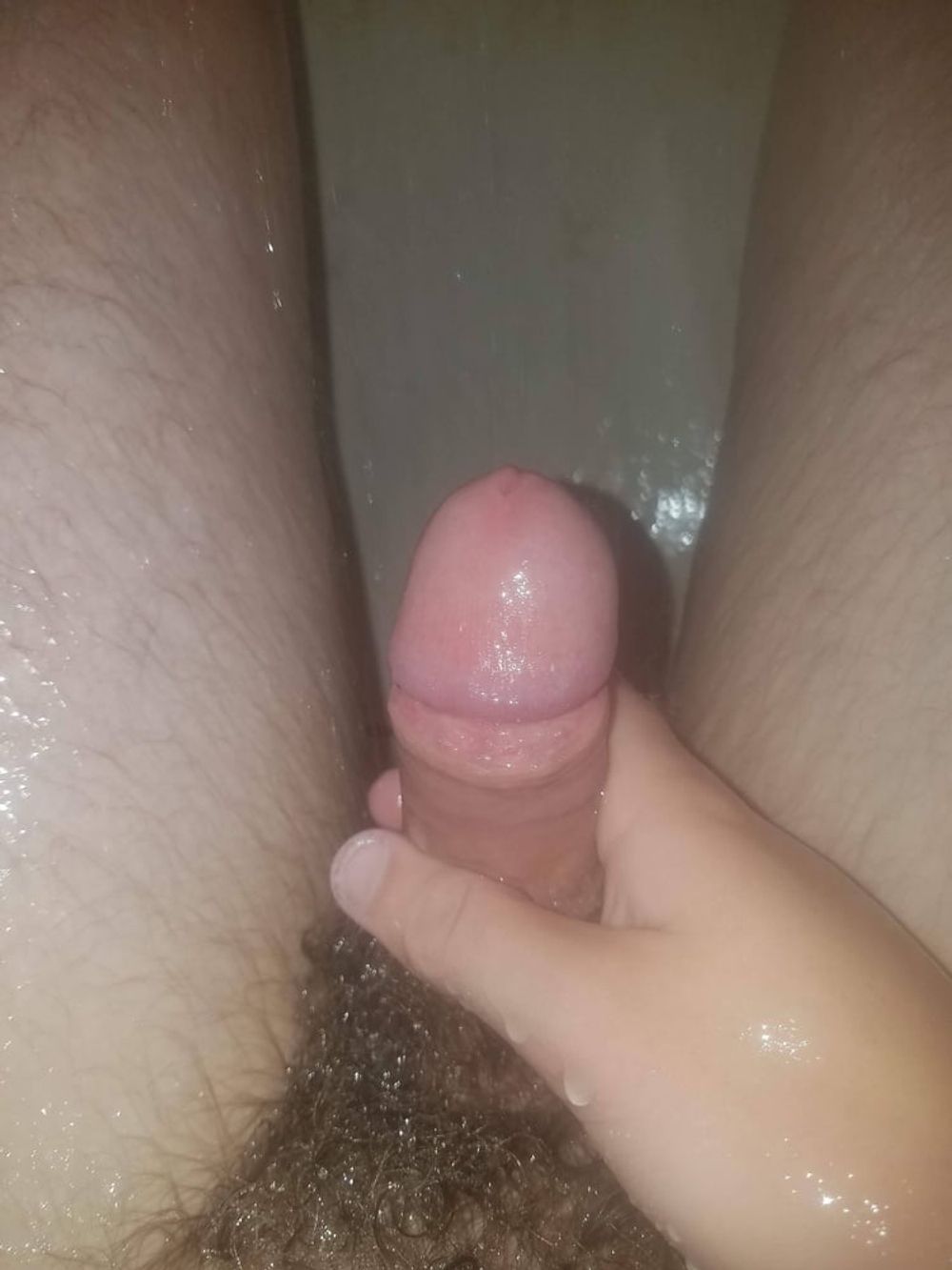 Cock #24