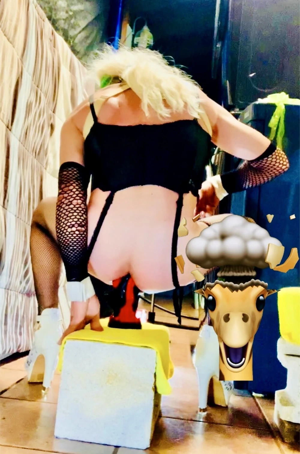 sexy shemale lingerie #4