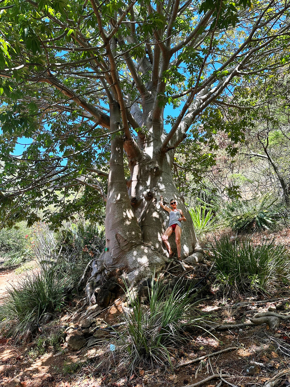 Photos from Hawaii  #21