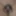 Oktober 5, 2024 Daily duty of the naked slave