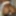 Young Black Girl Big Ass Webcam Cam Model Sheisnovember