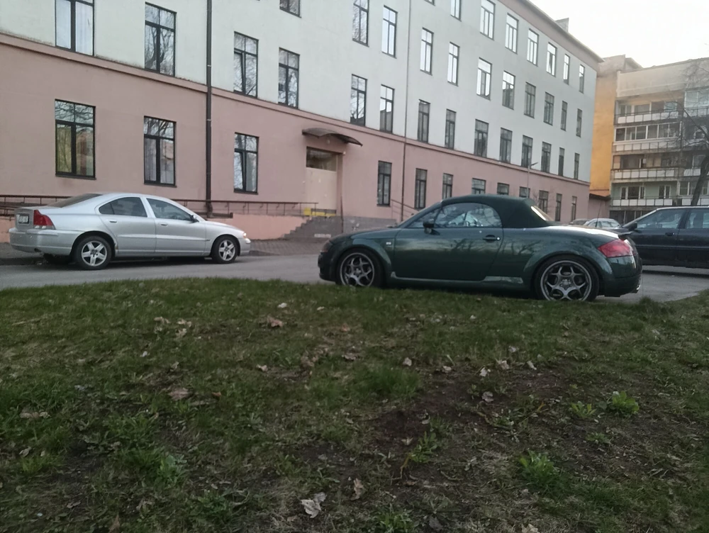 Oliwka #5