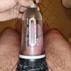 Finnish Cock
