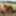 Anna naked on straw bales ... #22