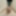 More of my tiny cock #2