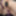 Training Progress Report and Big Reveal hehehe  #58