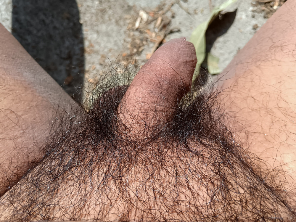 My nice flaccid penis after 9 months without shaving #18