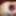 M fake GAPE 41