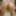 Pics vom Video vom letzten  #18