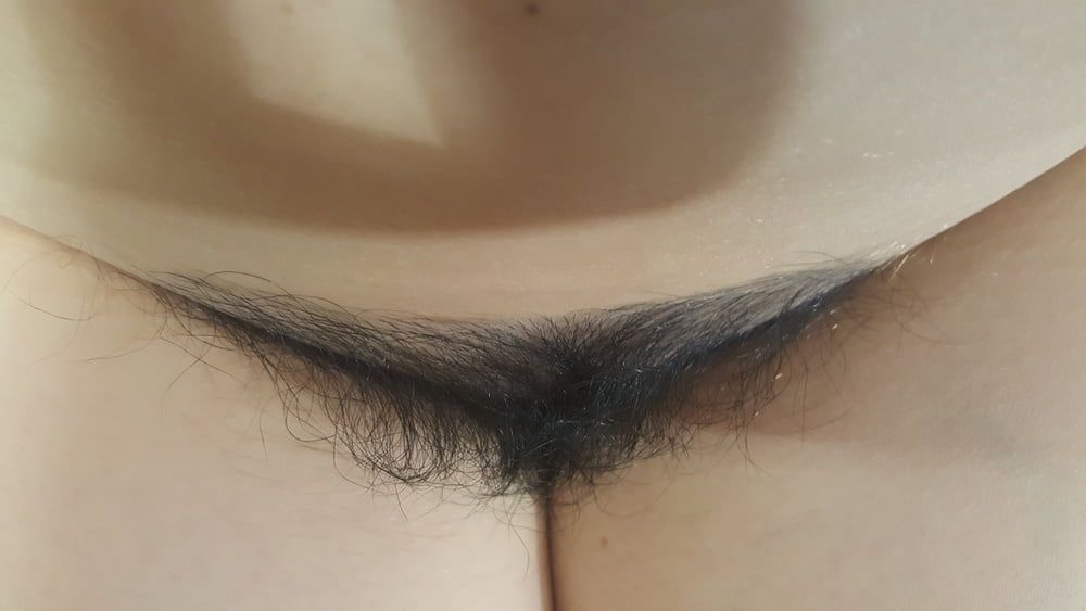 hairy pussy #3