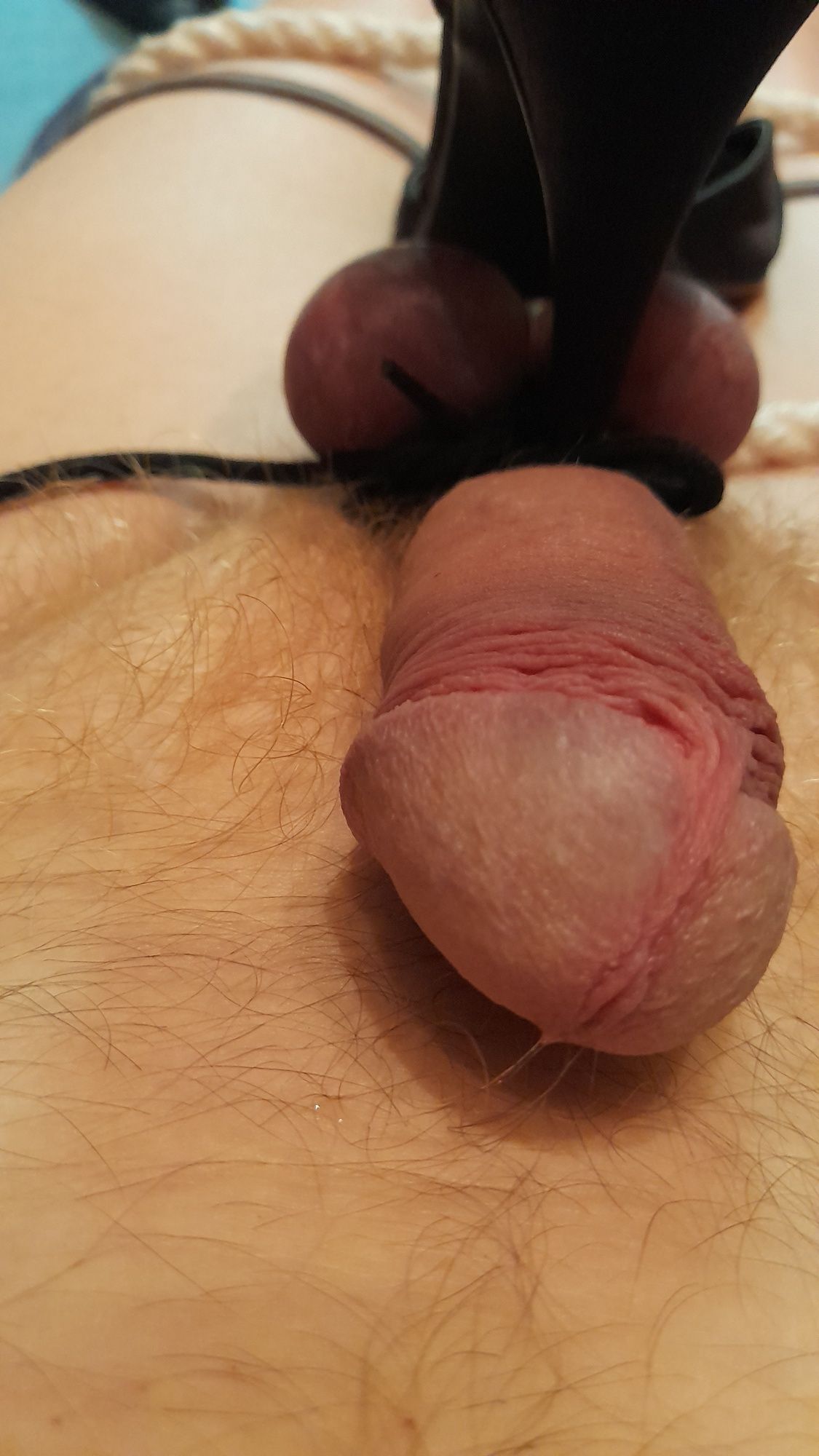 many pics of my cock #45