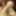 Close-Up Highly Detailed and Intimate Dick Pics