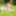 Innocent teen posing in hot nude erotica photo gallery #10