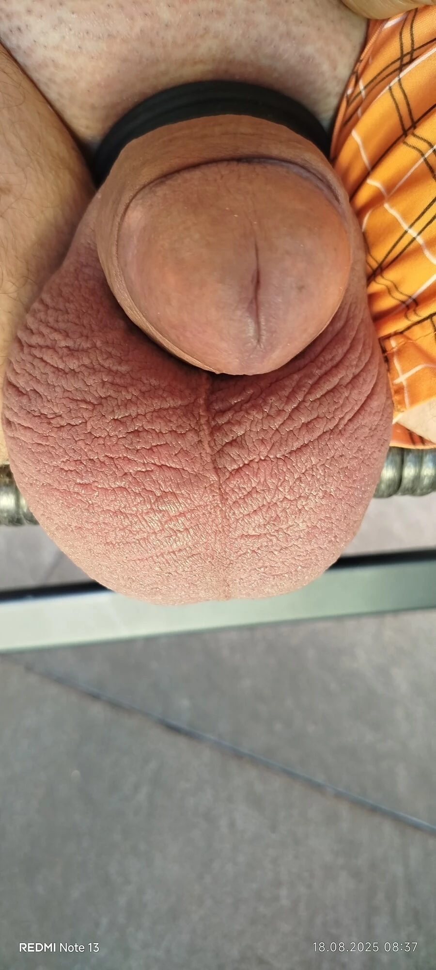 Rasiert und Dauergeil  #5