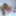 Anal Custom Video for a Client