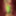 3D Futunari Toon in Lingerie #5