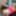 GROOBYGIRLS: Climax Monday with Jill Pill!