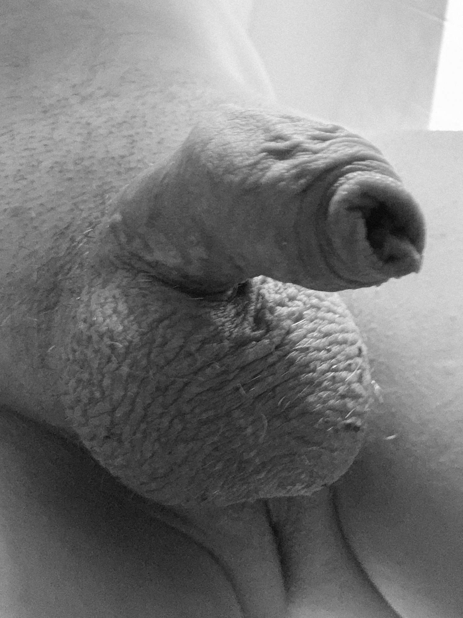 Penis 😍 #18