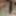 My hard cock 